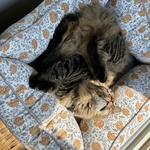 Meet your Posher, Maggie